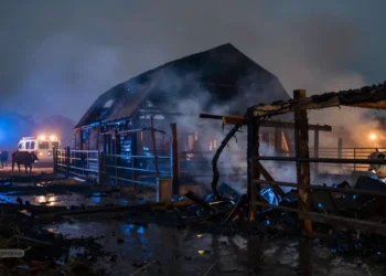 Nach einem nächtlichen Stallbrand stehen Feuerwehrfahrzeuge und Rauch über einem zerstörten Rinderstall in Hechingen, Symbolbild zur PETA Strafanzeige Stallbrand