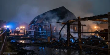 PETA Strafanzeige Stallbrand: Wenn Aktivismus Ermittlungen ersetzt 20 Nach einem nächtlichen Stallbrand stehen Feuerwehrfahrzeuge und Rauch über einem zerstörten Rinderstall in Hechingen, Symbolbild zur PETA Strafanzeige Stallbrand