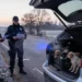 Polizei und Veterinär untersuchen bei einer Grenzkontrolle einen geöffneten Kofferraum mit jungen Welpen als Sinnbild für illegaler Welpenhandel