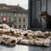 Schweiz: Importverbot für tierquälerisch erzeugte Pelze – politischer Konflikt zwischen Bund, Tierschützern und Pelzindustrie 3 Symbolbild zum Pelzimportverbot Schweiz: Pelzkleidung, politische Institutionen und Tierwohl stehen im Spannungsfeld von Gesetzgebung und Lobbyismus.