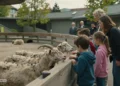 Familien und Kinder beobachten ruhige Zootiere in einem modernen, tiergerecht gestalteten Streichelzoo Bern während Erwachsene im Hintergrund das Bildungskonzept begleiten