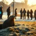 PETA will Punxsutawney Phil Hologramm 7 Ein echtes Murmeltier steht im morgendlichen Winterlicht vor seinem Bau, während im Hintergrund ein leuchtendes Punxsutawney Phil Hologramm über einer Menschenmenge schwebt und den Konflikt zwischen Tradition und Tierschutz symbolisiert