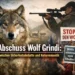 Symbolbild zum Thema Abschuss Wolf Grindi: Wolf im Vordergrund, Jäger mit Gewehr und Demonstranten mit Pro- und Contra-Plakaten im Hintergrund.