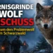 Die Zeit läuft: Streit um den Abschuss des „Hornisgrinde-Wolfs“ im Nordschwarzwald 4 Wolf im Schwarzwald während der Jagd nach dem Tier – Debatte um den Hornisgrinde Wolf Abschuss im Nordschwarzwald.