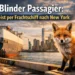 Rotfuchs sitzt im Hafen vor einem Frachtschiff mit Skyline von New York – Blinder Passagier Fuchs nach Atlantikreise entdeckt.