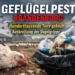 Schutzanzug-Träger bei der Keulung eines Geflügelbestandes wegen Geflügelpest Brandenburg auf einem landwirtschaftlichen Betrieb.
