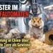 Hamster im Greifautomaten in einem chinesischen Einkaufszentrum – lebende Tiere werden in einem Spielautomaten als Gewinne angeboten.