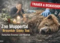 Zoo Wuppertal Braunbär Siddy: Wenn aus einem natürlichen Lebensende eine emotionale Debatte wird 45 Zoo Wuppertal Braunbär Siddy Tod zeigt eine Szene mit trauernden Besuchern und dem verstorbenen Bären unter tierärztlicher Betreuung.