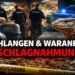 Schlangen und Warane beschlagnahmt: Wenn Tierhaltung eskaliert – und warum solche Fälle vorhersehbar sind 3 Schlangen Warane Beschlagnahmung: Behörden sichern exotische Tiere aus problematischer Haltung in einem Terrarienraum