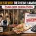 Hundesteuer Tierheim Hamburg – trauriger Hund im Tierheim und Steuerdokumente symbolisieren fraglichen Nutzen der Steuerbefreiung