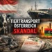 Tiertransport Österreich Skandal: Rinder unter katastrophalen Bedingungen auf einem Frachtschiff, mit Bezug zu internationalem Tierhandel und Österreich