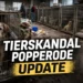 Hunde aus dem Tierskandal Popperode im Tierheim nach der Rettung