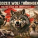 Symbolbild zur Jagdzeit Wolf Thüringen zeigt Wolf, Jäger und Nutztierriss als Sinnbild politischer Regulierung