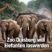 Zoo Duisburg: Elefanten müssen weg – weil Gastronomie wichtiger wird? 3 Zoo Duisburg Elefanten vor Abriss ihres Geheges durch Bauarbeiten