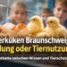 Osterküken Braunschweig Kritik – Küken schlüpfen im Brutkasten während Kinder im Museum zuschauen