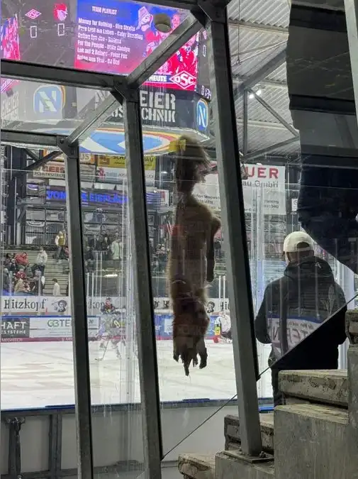 30 03 2026 ss fuchsfell