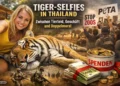 Tiger Selfies Thailand zeigen Touristin mit Tiger sowie Proteste und Spendengelder im Hintergrund als Symbol für Tierschutz-Debatte