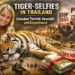 Tiger-Selfies in Thailand: Zwischen Tierleid, Geschäft und der großen Doppelmoral 8 Tiger Selfies Thailand zeigen Touristin mit Tiger sowie Proteste und Spendengelder im Hintergrund als Symbol für Tierschutz-Debatte