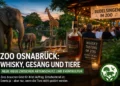 Zoo Osnabrück Veranstaltungen zeigen Abend-Event mit Whisky-Tasting und Rudelsingen neben ruhigen Tieranlagen im Zoo