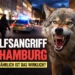 Wolfsangriff Hamburg: Aggressiver Wolf zeigt Zähne in der Hamburger Innenstadt vor Polizei und Passanten
