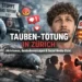 Tauben in Zürich – zwischen Aktivismus, Behördenversagen und öffentlicher Empörung 3 Tauben Zürich Tötung: Symbolbild zeigt Stadttaube, Proteste und Social-Media-Reaktionen zur Debatte in Zürich