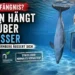 Delfin Tiergarten Nürnberg Kritik: Delfin hängt kopfüber im Becken und sorgt für Debatte über Verhalten und Haltung