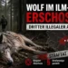 Wolf im Ilm-Kreis erschossen – illegale Abschüsse und die Realität der Wolfsdebatte 2 Illegaler Wolfsabschuss Thüringen: Toter Wolf liegt im Wald, Symbolbild für einen weiteren illegalen Abschuss im Ilm-Kreis.