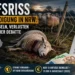 Wolfsrisse in NRW: Entschädigungszahlungen zwischen Theorie, Politik und Praxisproblemen 6 Wolfsriss Entschädigung NRW zeigt gerissene Schafe und beschädigten Zaun nach einem Wolfsangriff