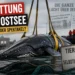 Walrettung in der Ostsee: Zwischen Tierschutz und Selbstinszenierung 6 Walrettung Ostsee Kritik: Ein Buckelwal wird von Kränen und Gurten umgeben, während Medien und Einsatzkräfte die Szene dokumentieren.