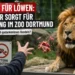 Zoo-Besucher verfüttert Gulasch an Löwen in Dortmund – Zwischen Gedankenlosigkeit und Sicherheitsproblem 10 Zoo Dortmund Löwen Gulasch – Ein Besucher wirft Fleisch in das Löwengehege des Dortmunder Zoos und sorgt für Kritik und Sicherheitsdebatten.