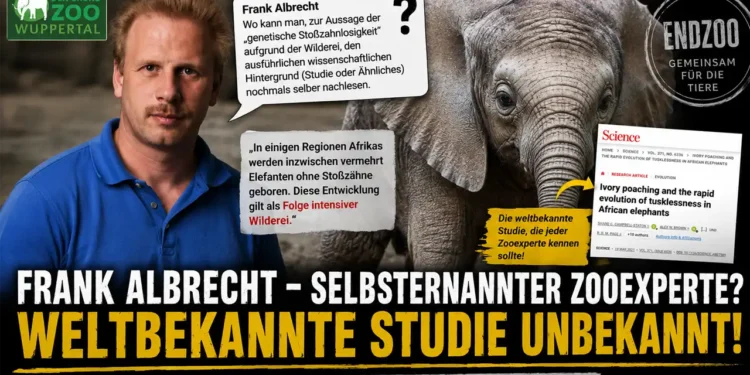„Zooexperte“ Frank Albrecht kennt Google nicht – und fragt nach weltbekannter Elefanten-Studie 11 Frank Albrecht Zooexperte? Titelbild mit Baby-Elefant, Studie zu stoßzahnlosen Elefanten und Kritik an Endzoo-Aktivist Frank Albrecht.