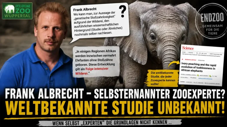 Frank Albrecht Zooexperte? Titelbild mit Baby-Elefant, Studie zu stoßzahnlosen Elefanten und Kritik an Endzoo-Aktivist Frank Albrecht.