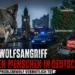 Erster Wolfsangriff auf einen Menschen in Deutschland? Hamburger Problemwolf vermutlich tot 8 Wolfsangriff auf Menschen: Ein mit GPS-Halsband ausgestatteter Wolf vor Hamburger Stadtkulisse. Das Signal ist abgerissen, der Problemwolf gilt als vermutlich tot.