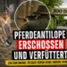 Pferdeantilope im Zoo Dortmund erschossen und verfüttert – Warum der Fall für Diskussionen sorgt 2 Pferdeantilope Zoo Dortmund: Symbolbild zeigt eine Pferdeantilope, einen Jäger und einen Löwen im Zusammenhang mit der Verfütterung eines verstorbenen Zootieres.