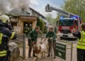 Feuerwehr probt den Ernstfall im Zoo Magdeburg: Evakuierung zwischen Ziegen, Besuchern und Einsatzkräften 45 Die Feuerwehrübung Zoo Magdeburg zeigt Feuerwehrkräfte, Zoo-Mitarbeiter und evakuierte Tiere während eines simulierten Brandes im Bereich des Streichelzoos.