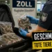 Frau mit Fröschen und Schlangen im Koffer gestoppt – Zoll beschlagnahmt 3,2 Kilogramm tote Tiere am Flughafen Düsseldorf 1 Zollbeamte kontrollieren am Flughafen Düsseldorf einen geöffneten Koffer mit sichergestellten Fröschen, Schlangen, Geckos und Insekten aus Thailand.