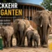 Afrikanische Elefanten Tierpark Berlin – Moderne Zoohaltung statt Ideologie 7 Afrikanische Elefanten Tierpark Berlin: Eine Elefantenfamilie mit erwachsenen Tieren und Jungtieren steht vor dem modernisierten Elefantenhaus im Tierpark Berlin.
