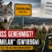 Abschuss genehmigt! Wolf „Milan“ (GW1896m) wird zum Härtetest für das Wolfsmanagement 6 Wolf Milan GW1896m steht vor einer Schafherde im Sauerland. Im Hintergrund symbolisiert eine Abschussgenehmigung die Debatte um Wolfsmanagement, Nutztierschutz und den Umgang mit Problemwölfen.