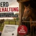 Pferd Einzelhaltung: Symbolbild eines allein stehenden Pferdes im Stall, während im Hintergrund weitere Pferde und Hinweise auf ein Gerichtsurteil zum Tierschutz zu sehen sind.