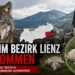 Wolf im Bezirk Lienz erlegt – Maßnahmenverordnung in Tirol aufgehoben 5 Wolf Lienz: Symbolbild eines Wolfs vor alpiner Kulisse in Osttirol. Nach einem Schafriss bei Tristach wurde ein als Risikowolf eingestuftes Tier entnommen.
