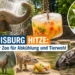 Zoo Duisburg schützt seine Tiere vor der Hitze – Mit Kreativität und Fürsorge durch den Sommer 1 Zoo Duisburg Hitze: Ein Elefant, ein Roter Panda, Alpakas und weitere Zootiere kühlen sich mit Eisbomben, Wasser und Sprinklern an heißen Sommertagen ab.