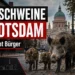 Wildschweine in Potsdam laufen durch ein Stadtgebiet, während die Stadt mit einem Warnschild zur Vorsicht aufruft.