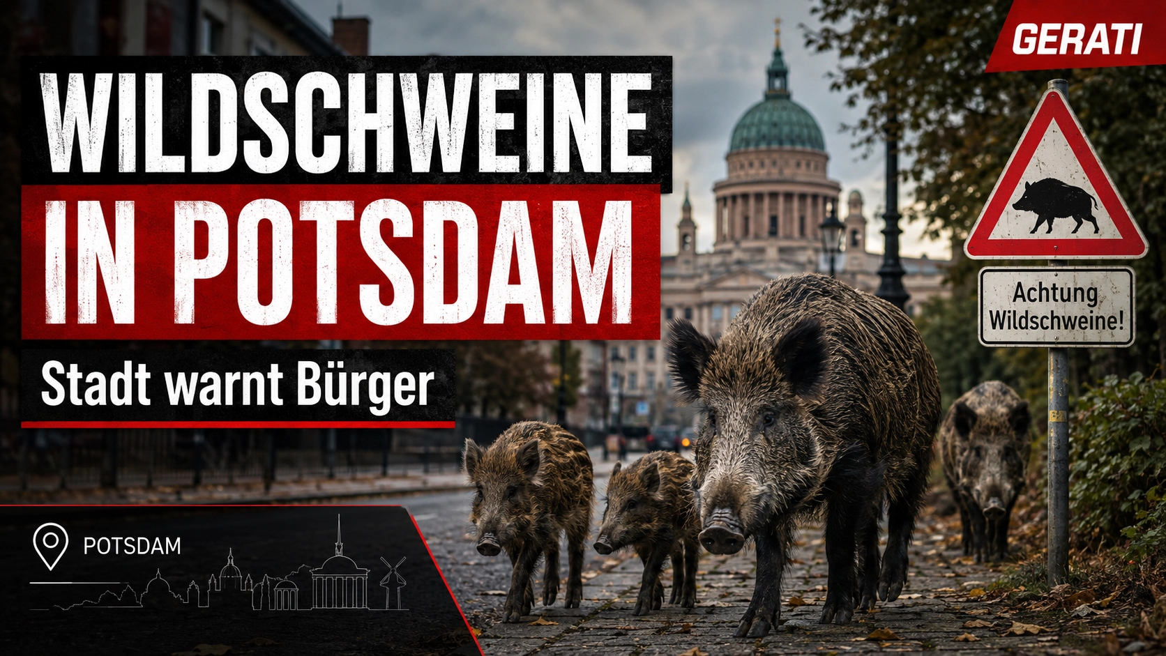 Wildschweine in Potsdam laufen durch ein Stadtgebiet, während die Stadt mit einem Warnschild zur Vorsicht aufruft.