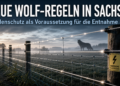 Wolfsentnahme Sachsen: Herdenschutz-Vorgaben konkretisiert und rechtssicher verankert 45 Wolfsentnahme Sachsen: Ein professionell gesicherter Weidezaun in Sachsen als Voraussetzung für eine rechtssichere Wolfsentnahme.