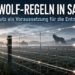 Wolfsentnahme Sachsen: Ein professionell gesicherter Weidezaun in Sachsen als Voraussetzung für eine rechtssichere Wolfsentnahme.