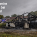 Einsatzkräfte der Feuerwehr untersuchen die Ruine nach einem verheerenden Stallbrand mit hohem Tierverlust.