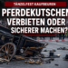 Pferdekutsche Unfall Tänzelfest: Kutsche kippt in Kaufbeuren – Debatte um pferdefreie Umzüge entfacht 10 Pferdekutsche Unfall Tänzelfest: Umgekippte Pferdekutsche beim Tänzelfest in Kaufbeuren nach einem Unfall