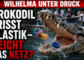 Leistenkrokodil Tong im Wilhelma Krokodile Plastikmüll Vorfall mit Blick auf die Sicherheitsdebatte