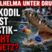 Plastik im Krokodilbecken: Wilhelma reagiert mit Schutznetz 6 Leistenkrokodil Tong im Wilhelma Krokodile Plastikmüll Vorfall mit Blick auf die Sicherheitsdebatte
