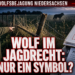 Wolfsbejagung Niedersachsen: Aufnahme in das Jagdrecht und die Praxis der Schnellabschüsse 4 Ein Landwirt begutachtet einen beschädigten Weidezaun vor dem Hintergrund der neuen Wolfsbejagung Niedersachsen.